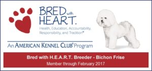 AKC Bred with heart banner 579161