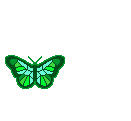 ButterflyGreen